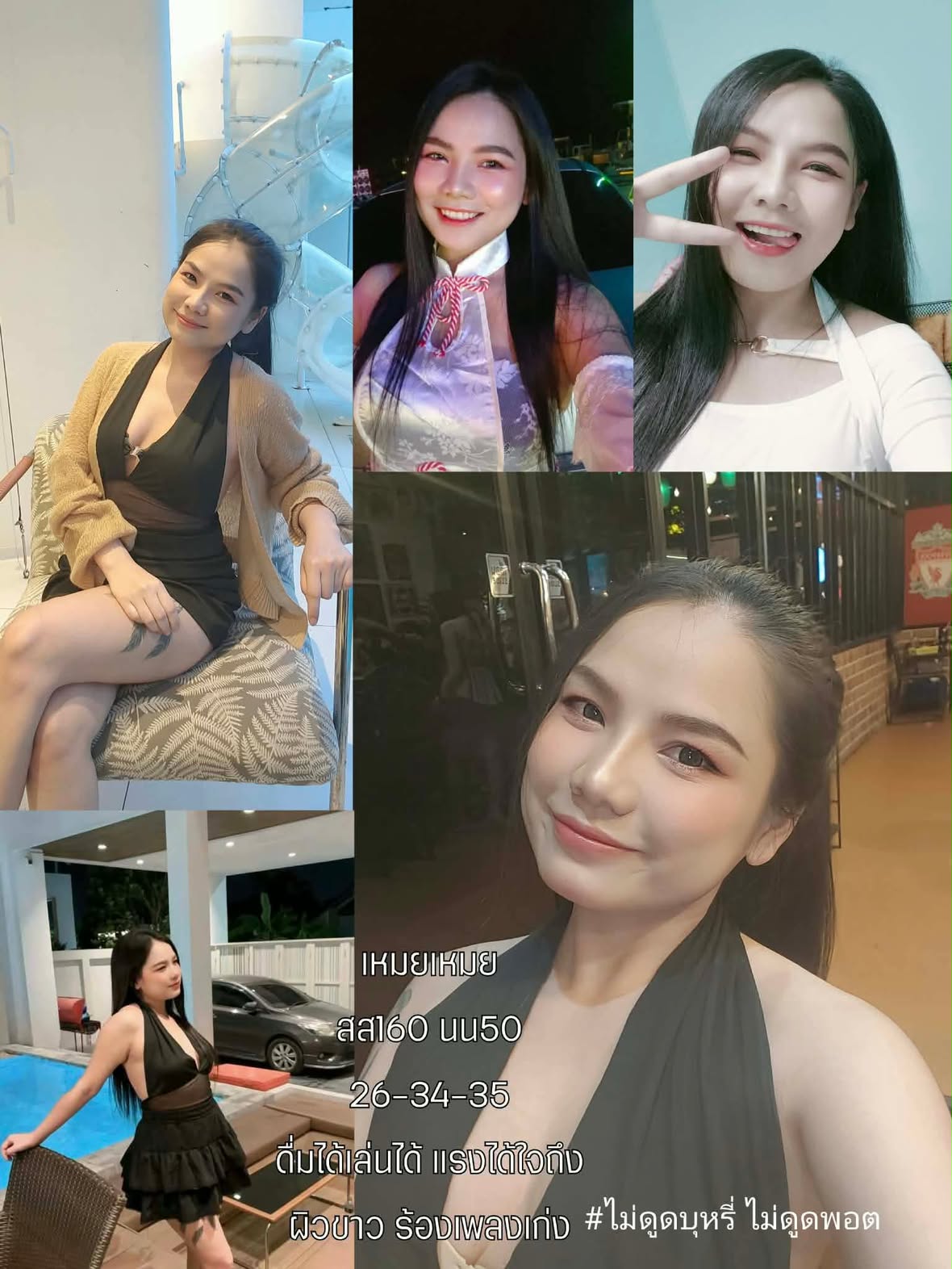 การ์ดโปรไฟล์ของน้อง เหมยเหมย (Meimei)
