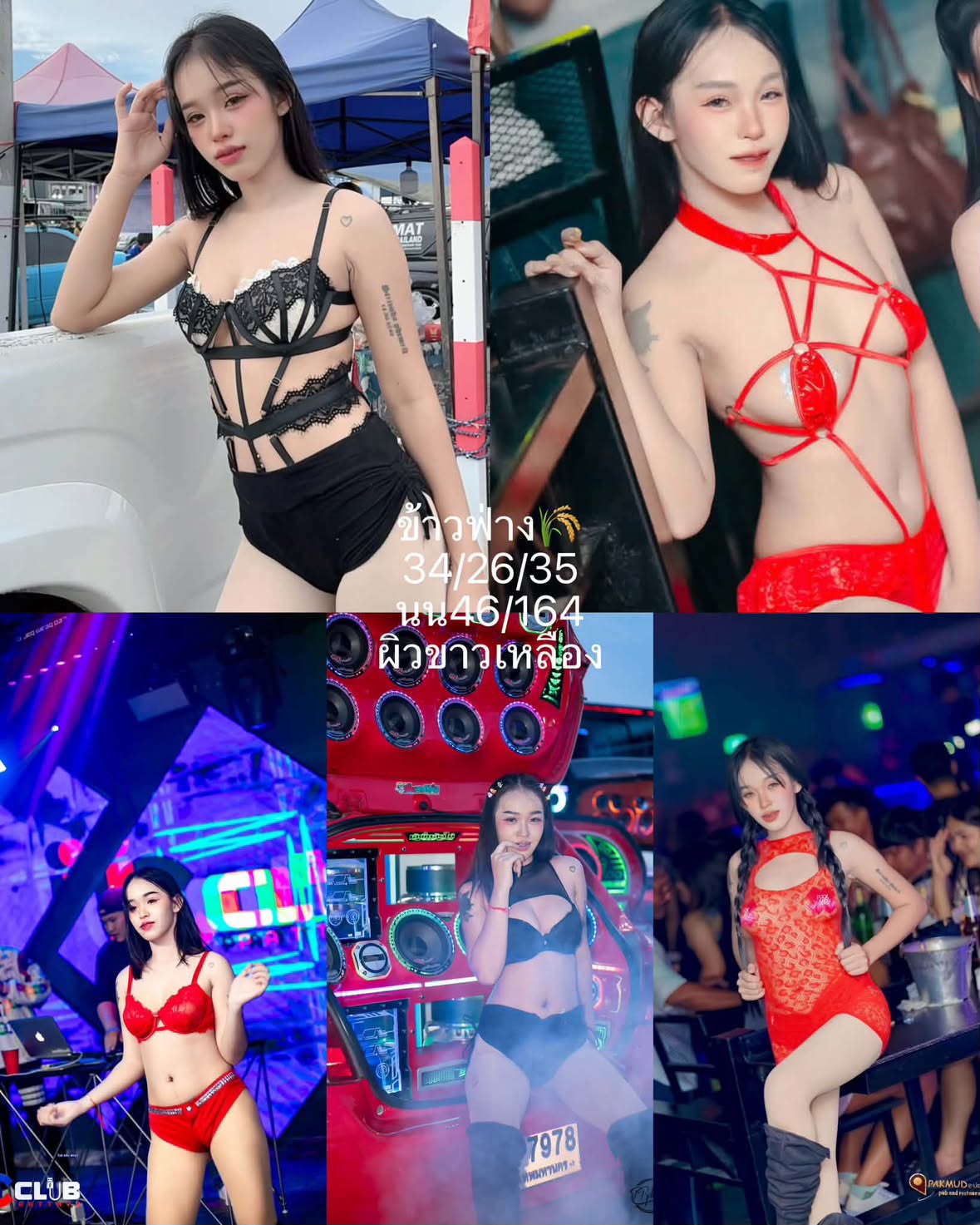 การ์ดโปรไฟล์ของน้อง ข้าวฟ่าง (Khaofang)